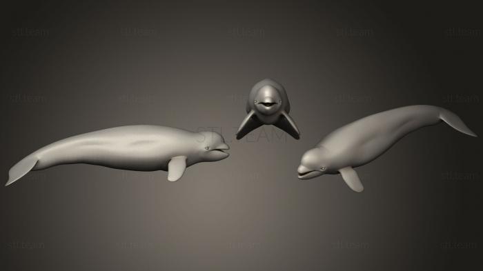 Статуэтки животных Beluga Whale